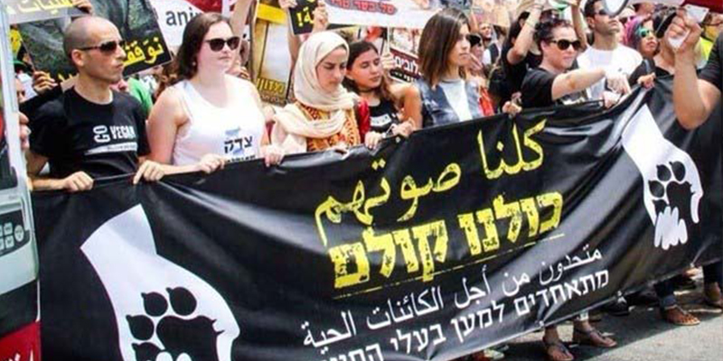 Jews and Arabs Unite in Israel to Speak Out for Animal Welfare